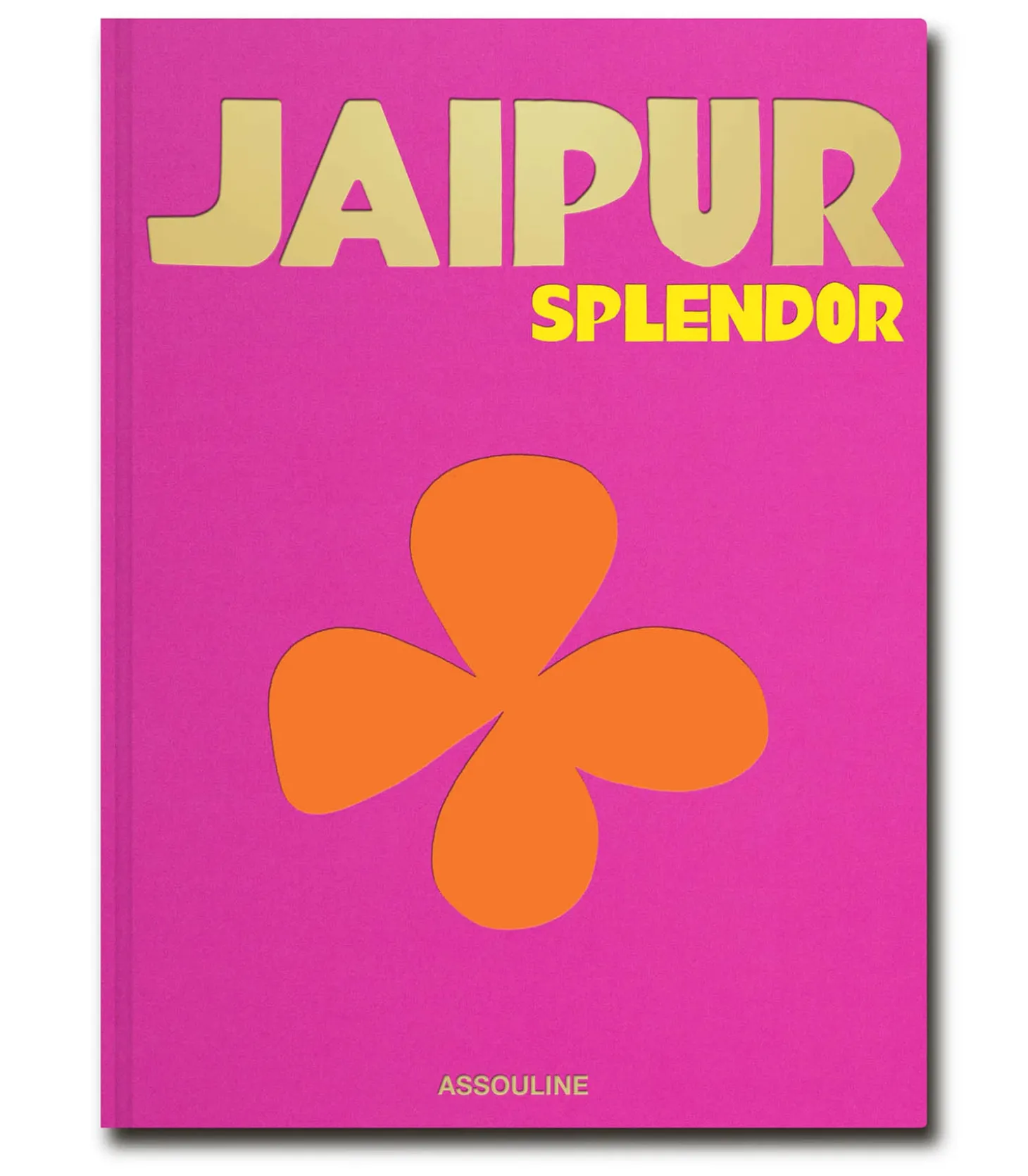 Livre Jaipur Slendor-Assouline Online