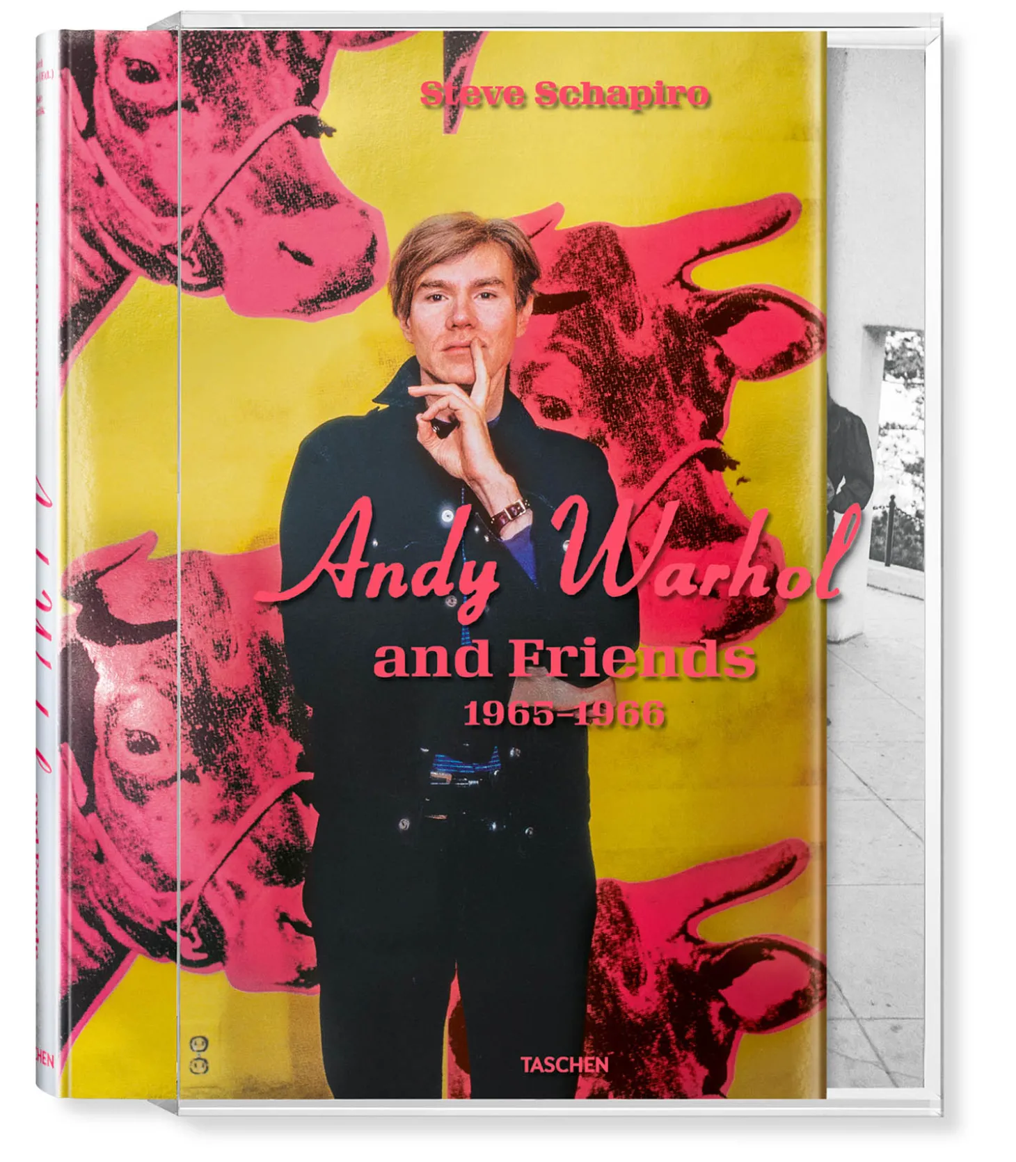 Livre Schapiro. Andy Warhol and Friends-Taschen Best Sale