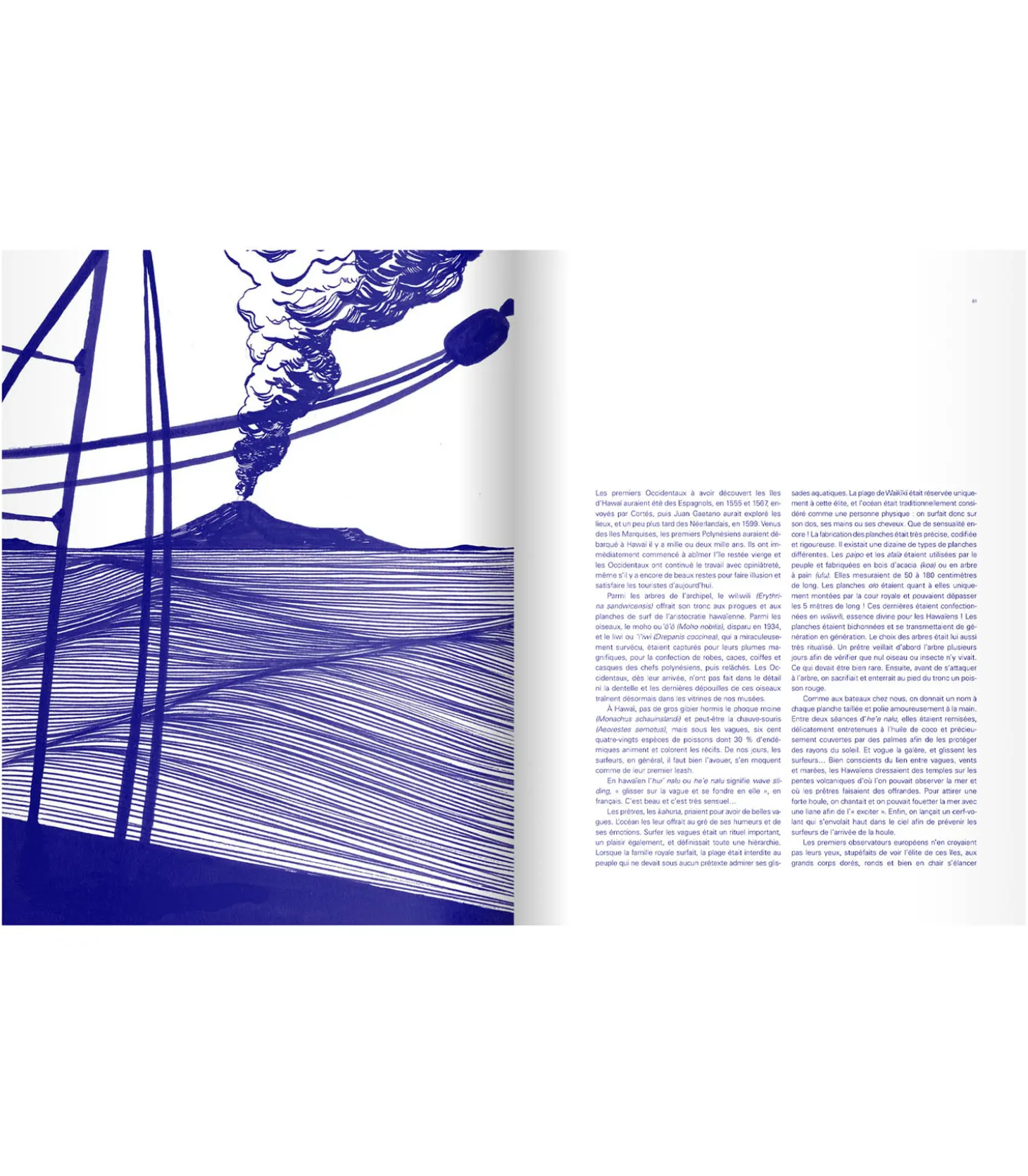 Livre Surf-Albin Michel Store