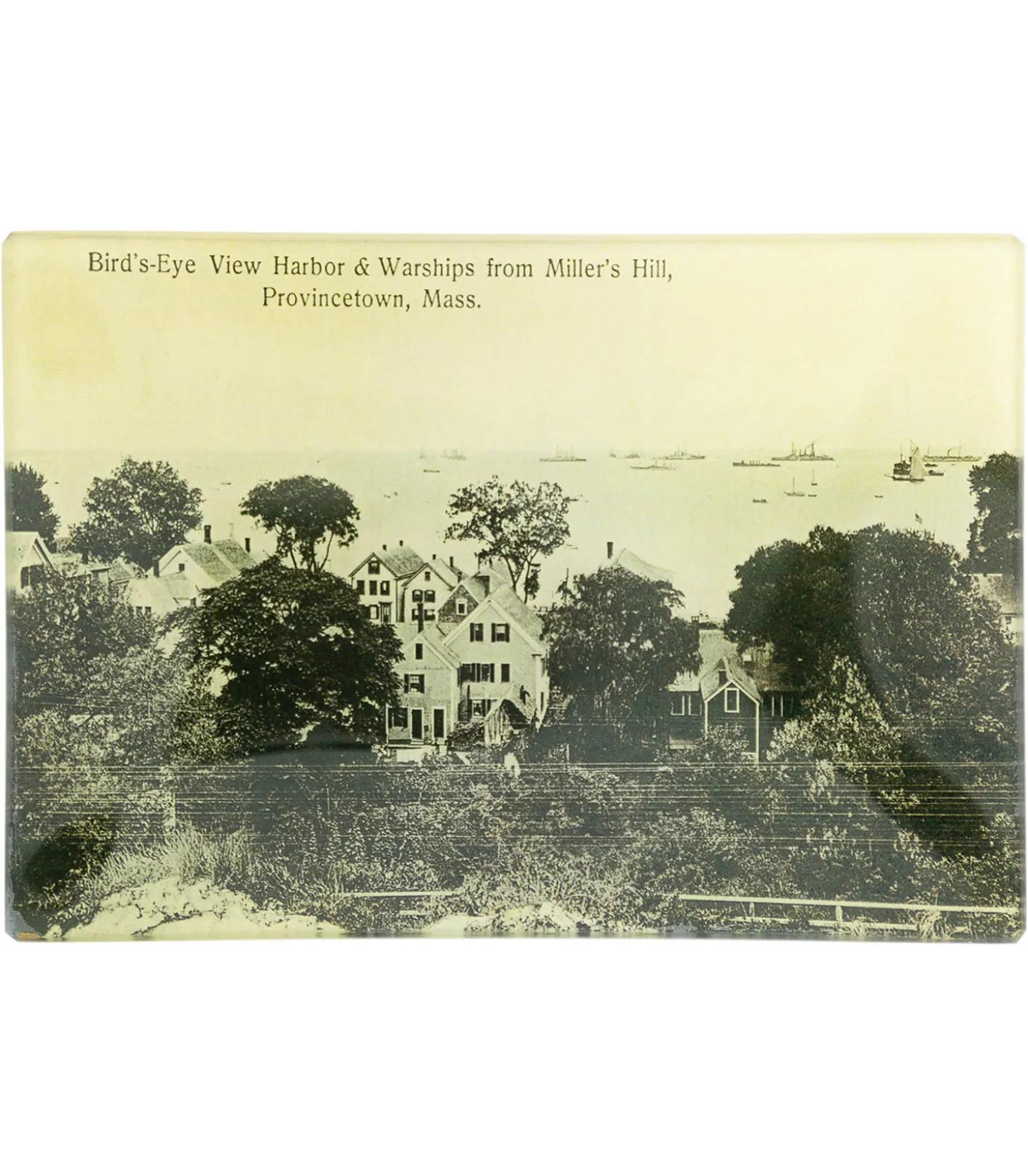Vide-poches vintage "Bird's eye View"-John Derian Clearance